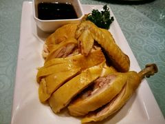 -四季春