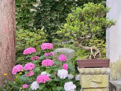 -惠山古镇·寄畅园