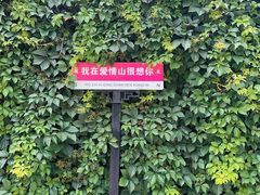 -爱情山风景区