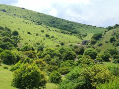 -大姆山草场