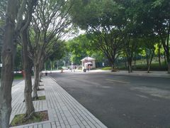 -东莞植物园