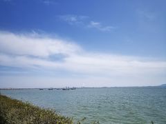 -贡湖湾湿地公园