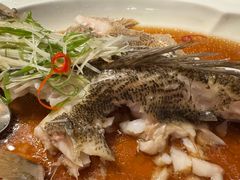 -上海苏宁宝丽嘉酒店·嘉府壹号中餐厅