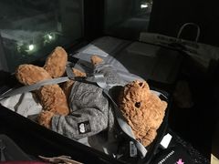 -朝安泰迪熊博物馆