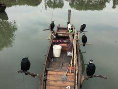 -长兴太湖图影湿地文化园