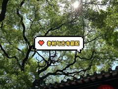 -南海神庙