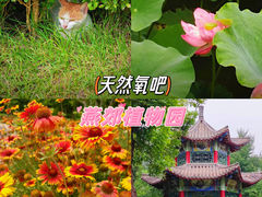 -燕郊植物园