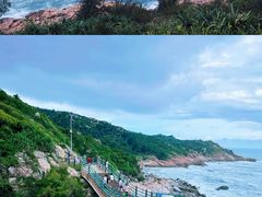 -广东惠东海龟国家级自然保护区