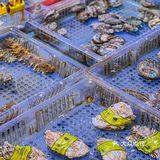 浦东宴请聚会的好去处