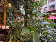 -婉泰·特色小吃·舂鸡脚(告庄二店)