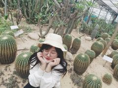 -广东茂名森林公园