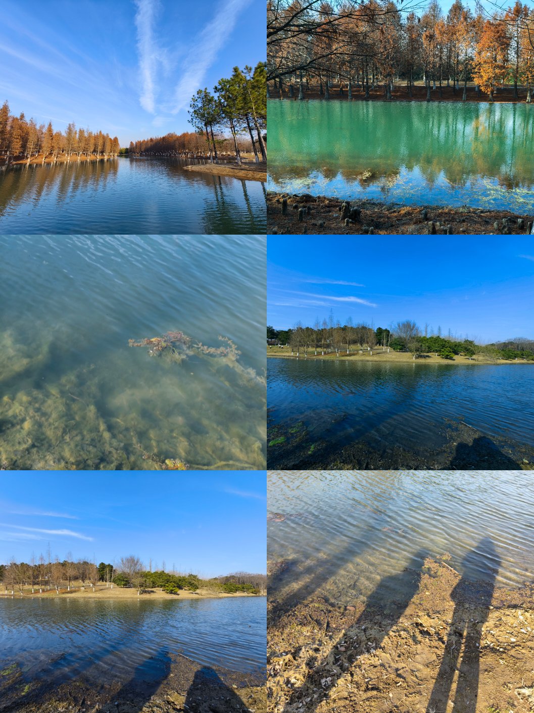 常州新龙生态湿地公园图片