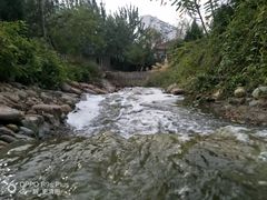 -绿岛公园(滨海新区)
