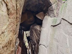 -鲁山国家森林公园