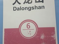 -大龙山(地铁站)