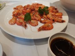 -沪碟·精菜坊(闵行店)