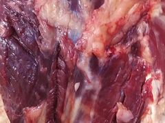 牛肉干的选肉-蒙亘高勒牛肉干(瑞雪小区店)