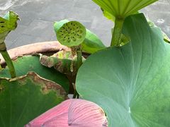 -李叔同故居纪念馆