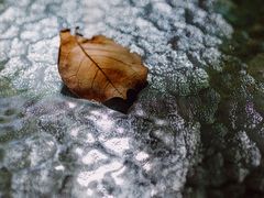 -北京动物园-畅观楼