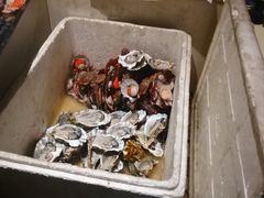 -陈记生蚝烧烤炒菜火锅
