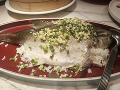 -钟菜·粤菜点心·宴请(海上世界·汇港二期店)