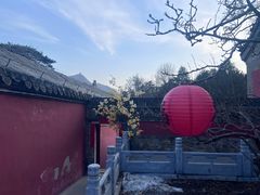 -潭柘寺景区