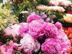 -谷莠子花艺·气球派对·绿植造景·花艺沙龙(金光华广场店)