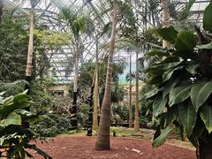 -南山植物园