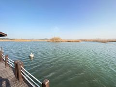 -太湖湖滨国家湿地公园-停车场