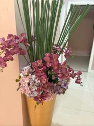 -蕾蕾美颜美容美体