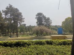 -铁山坪森林公园