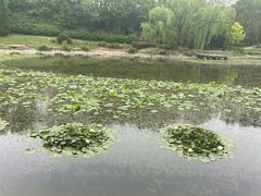 -棒棰岛宾馆景区
