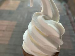 -富豪雪糕车流动点(尖沙咀店)