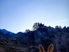 -石台牯牛降景区