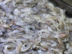-乔家小院•本地小海鲜•非遗驴肉(万年泉路店)