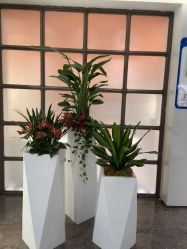 -广州美莱医疗美容医院