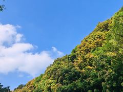 -阳台山森林公园