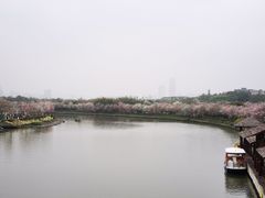 -海珠湖公园
