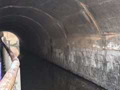 -白水寺森林公园