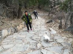 -阳台山自然风景区