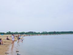 -瑶湖郊野森林公园