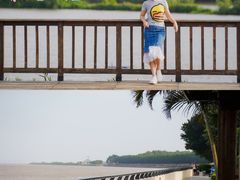 -大湾区中央湿地公园