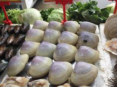 -蚝专家(北滘店)