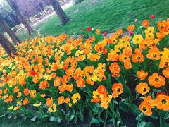 -长春公园(普阳街道)