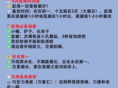 -日照海滨国家森林公园