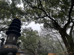 -普陀山风景名胜区-法雨禅寺