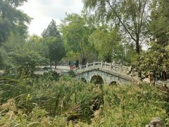 -莲池书院博物馆