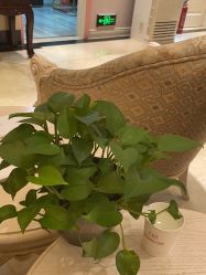 -北京俪婴妇产医院(朝阳大悦城店)