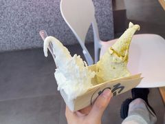 -野人先生Gelato(上海长宁龙之梦店)
