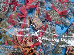 花蟹-杨梅坑渔村海鲜餐厅